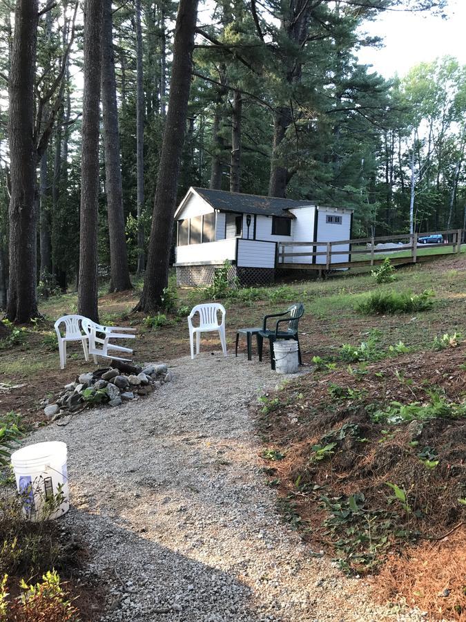 Pine Shore And Cabins Motel
