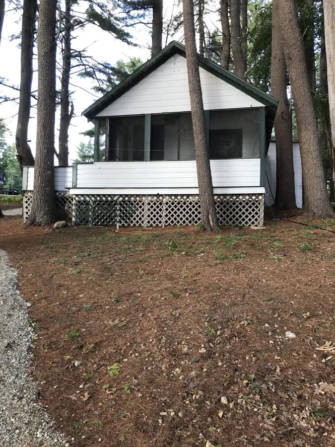 Pine Shore And Cabins Orland