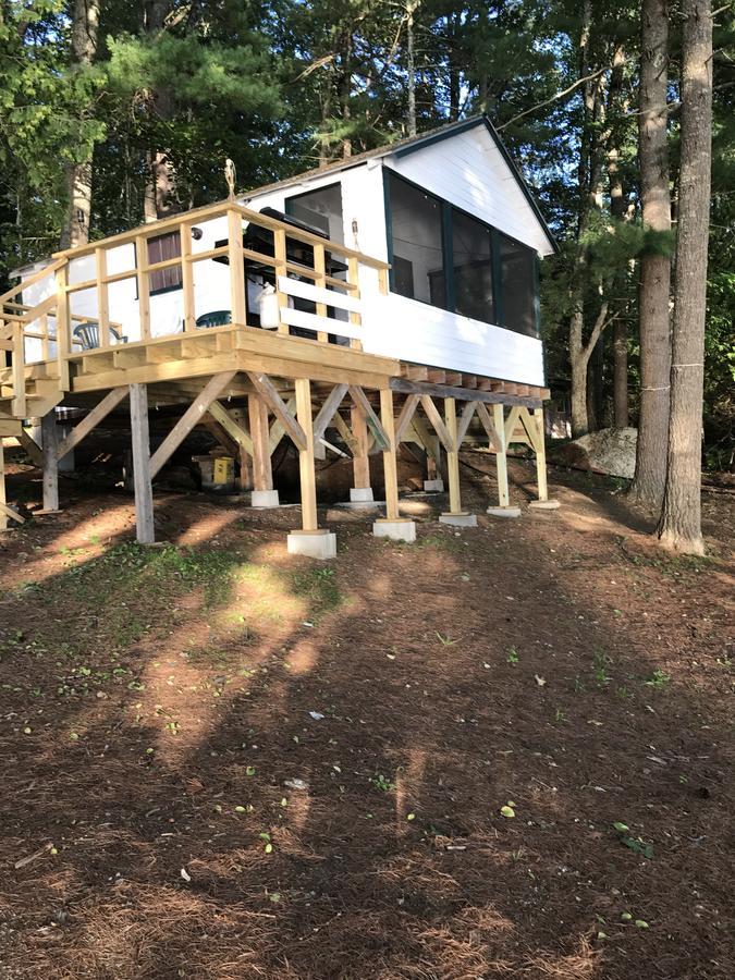 Pine Shore And Cabins Motel *